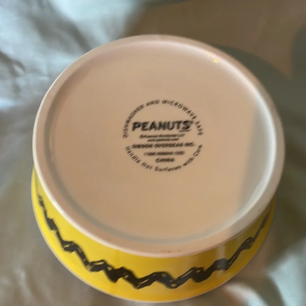 Peanuts Snoopy Pet Food Bowl Charlie Brown Stoneware